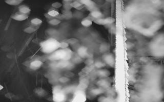 Kasprowy Wierch Hala Gąsienicowa - 03-11-2025 18:20