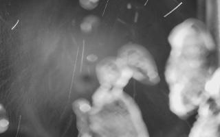 Kasprowy Wierch Hala Gąsienicowa - 03-11-2025 19:01