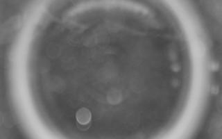 Kasprowy Wierch Hala Gąsienicowa - 04-11-2025 03:44