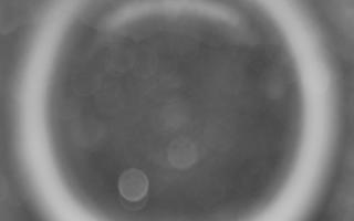 Kasprowy Wierch Hala Gąsienicowa - 04-11-2025 04:09