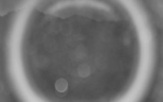 Kasprowy Wierch Hala Gąsienicowa - 04-11-2025 04:17