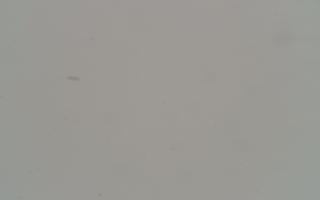 Kasprowy Wierch Hala Gąsienicowa - <br />
<b>Notice</b>:  Undefined index: godzina in <b>/var/www/webcam-news.pl/sites/elements/video-list-category-item.php</b> on line <b>23</b><br />
01-01-1970 00:00