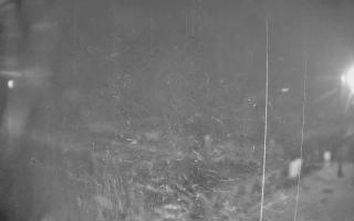 Ryn Ekomarina - 03-11-2025 02:29