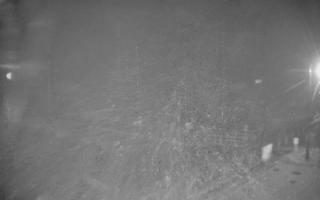 Ryn Ekomarina - 03-11-2025 02:37