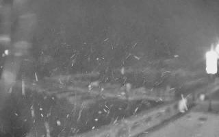 Ryn Ekomarina - 18-12-2025 03:55