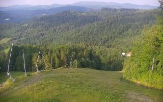Wisła Soszów ski - Trasa zjazdow - 17-06-2025 16:44