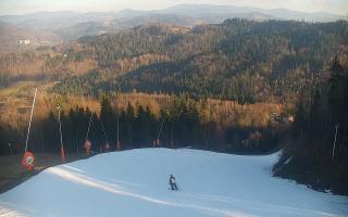 Wisła Soszów ski - Trasa zjazdow - 19-12-2025 11:31