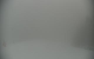 Wisła Soszów ski - Trasa zjazdow - 14-02-2026 06:52