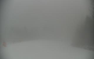 Wisła Soszów ski - Trasa zjazdow - 14-02-2026 07:54