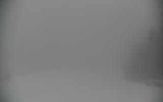 Wisła Soszów ski - Trasa zjazdow - 14-02-2026 15:39