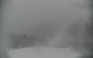 Wisła Soszów ski - Trasa zjazdow - 15-02-2026 06:52