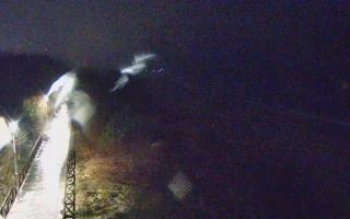 Dziwnów plaża - zachód - 01-01-2026 02:52