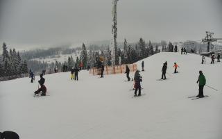 Kotelnica Express - 01-02-2026 13:00