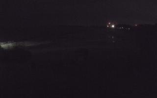 Darłowo - 31-10-2025 17:50