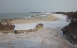 Darłowo - 17-02-2026 11:48