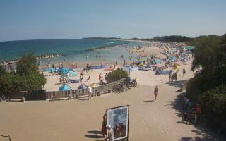 Darłowo - 16-07-2026 08:41