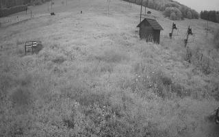 Siepraw Ski - 02-08-2025 01:58