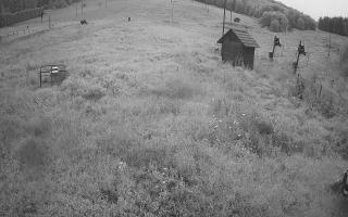 Siepraw Ski - 02-08-2025 02:12