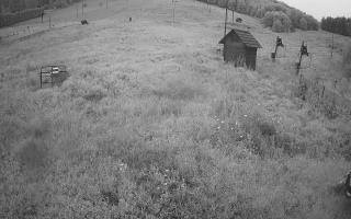 Siepraw Ski - 02-08-2025 02:05