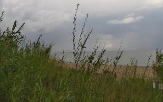 Władysławowo - plaża zachód - 02-08-2025 14:27