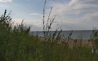 Władysławowo - plaża zachód - 02-08-2025 16:00