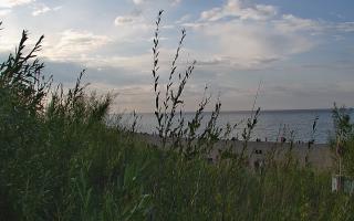 Władysławowo - plaża zachód - 02-08-2025 16:46