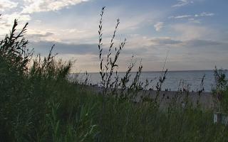Władysławowo - plaża zachód - 02-08-2025 16:54