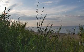 Władysławowo - plaża zachód - 02-08-2025 17:01