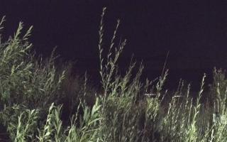 Władysławowo - plaża zachód - 02-08-2025 21:16