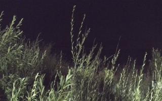 Władysławowo - plaża zachód - 02-08-2025 21:24
