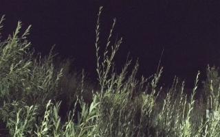 Władysławowo - plaża zachód - 02-08-2025 21:39