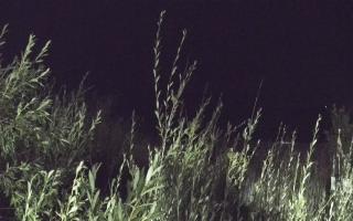 Władysławowo - plaża zachód - 02-08-2025 21:47