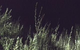 Władysławowo - plaża zachód - 02-08-2025 22:10