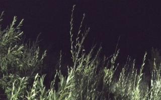 Władysławowo - plaża zachód - 02-08-2025 22:25
