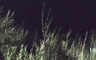 Władysławowo - plaża zachód - 02-08-2025 22:56
