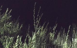 Władysławowo - plaża zachód - 02-08-2025 23:04