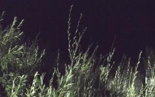 Władysławowo - plaża zachód - 02-08-2025 23:19