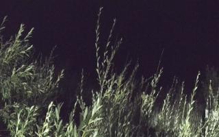 Władysławowo - plaża zachód - 02-08-2025 23:27