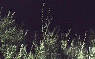 Władysławowo - plaża zachód - 02-08-2025 23:43