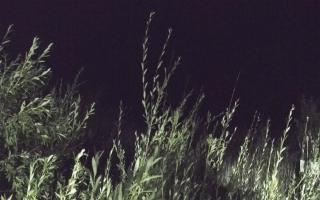 Władysławowo - plaża zachód - 02-08-2025 23:58