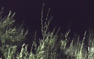Władysławowo - plaża zachód - 03-08-2025 00:06