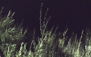 Władysławowo - plaża zachód - 03-08-2025 00:13