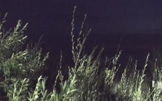 Władysławowo - plaża zachód - 03-08-2025 01:07