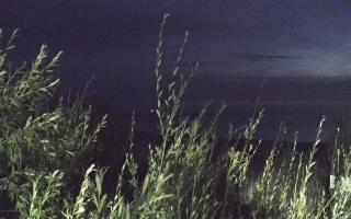 Władysławowo - plaża zachód - 03-08-2025 01:23