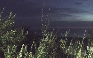 Władysławowo - plaża zachód - 03-08-2025 01:30