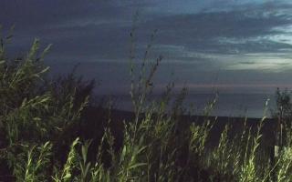 Władysławowo - plaża zachód - 03-08-2025 01:46