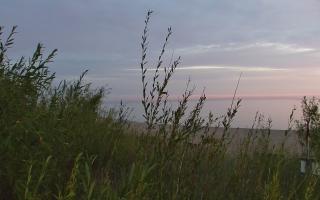 Władysławowo - plaża zachód - 03-08-2025 02:24