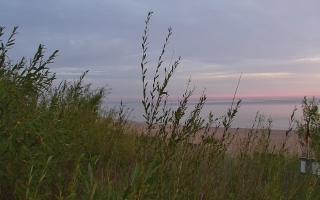 Władysławowo - plaża zachód - 03-08-2025 02:40