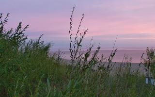 Władysławowo - plaża zachód - 03-08-2025 02:55