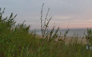 Władysławowo - plaża zachód - 03-08-2025 03:03
